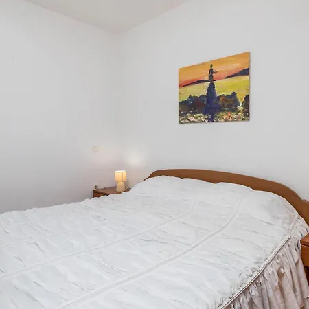Pet Friendly Apartment In Icici With Wifi